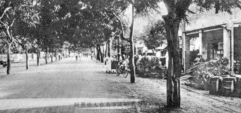台南車站前鳳凰木行道樹