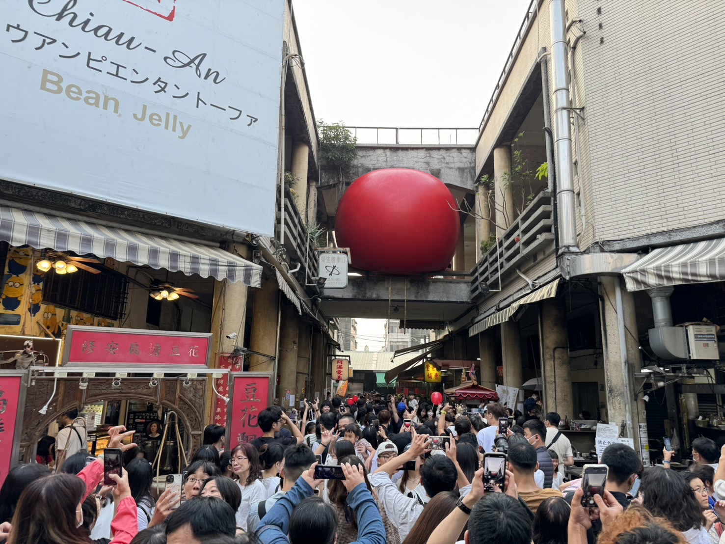 '紅球台南'電腦版圖示